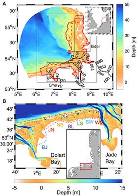 Understanding the Impact of Bathymetric Changes in the German Bight on Coastal Hydrodynamics: One Step Toward Realistic Morphodynamic Modeling